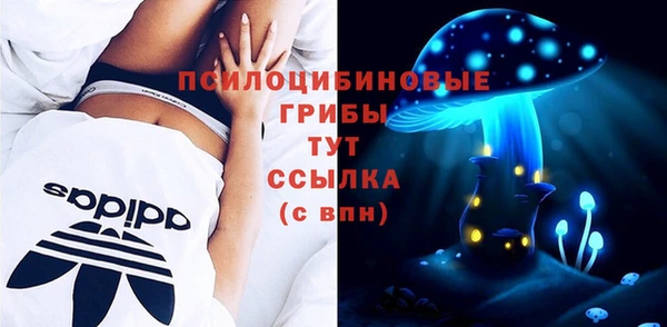 таблы Белокуриха