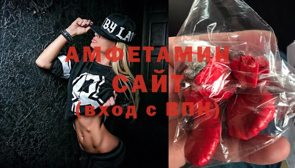 шишки Белоозёрский