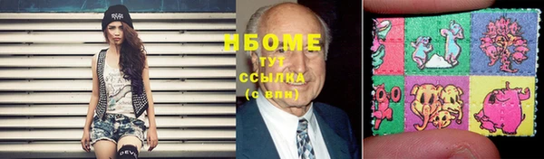 шишки Белоозёрский