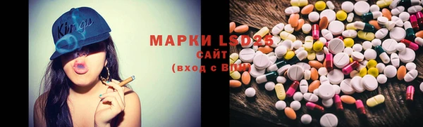 шишки Белоозёрский