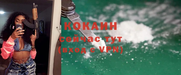 шишки Белоозёрский
