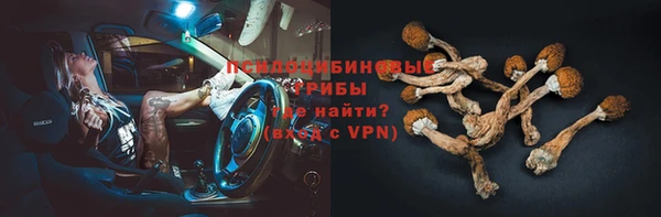 шишки Белоозёрский