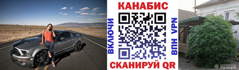 сайты даркнета официальный сайт mega ССЫЛКА Кыштым Каннабис AK-47